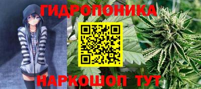 PSILOCYBIN Гай